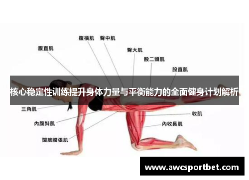 核心稳定性训练提升身体力量与平衡能力的全面健身计划解析