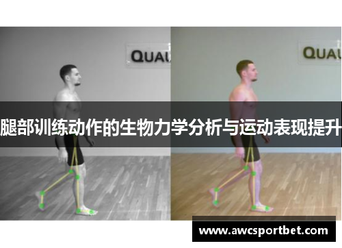 腿部训练动作的生物力学分析与运动表现提升
