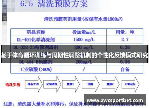 基于体育循环训练与周期性调整机制的个性化反馈模式研究